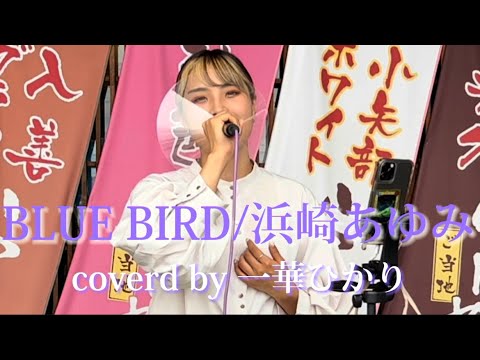 【一華ひかり】BLUE BIRD/浜崎あゆみ