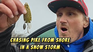 Chasing Pike From Shore in a Snow Storm