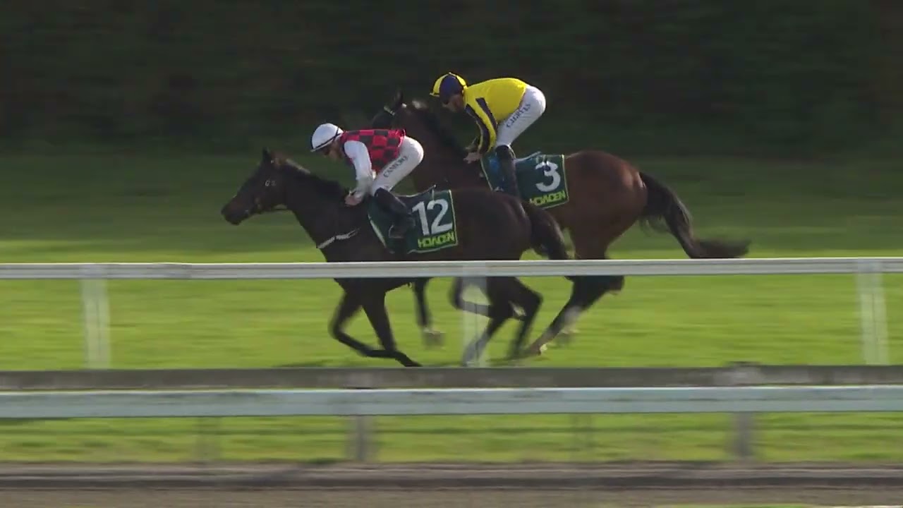 Howden Insurance Mile 2025 — WAITAK (3+ WFA G1), Группа 1, Те Рапа, Новая Зеландия, 27 сентября