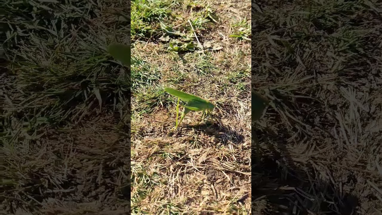 exploring the Isle of Wight 