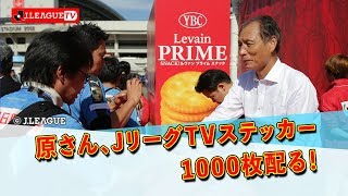 【原さんぽ from JリーグTV】ルヴァンカップ決勝の会場で札幌と川崎F以外のサポーターを探せるか？！2019年10月26日 ＪリーグＹＢＣルヴァンカップ決勝編