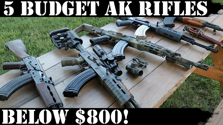 5 Budget AKs - Below $800!