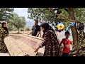 Helping Fariba with Her Awning — A Risky Moment for Arash!