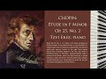 CHOPIN: Étude in F Minor &quot;The Bees&quot;, Op. 25, No. 2  | Tzvi Erez | (14 of 24)