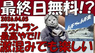 Hachikita's Last Day Free! Spring Mogul Ride - YouTube