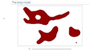 Lecture on the Cellular Potts Model