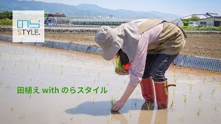 田植え with のらスタイル 【和歌山でドローンによる空撮】
