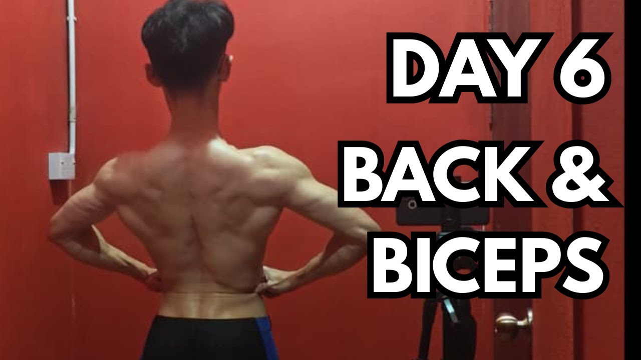 DAY 6 TRAIN BACK & BICEPS