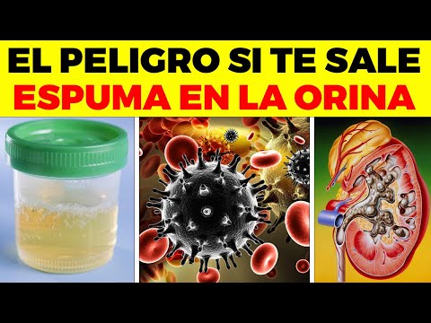 La Guía de las Vitaminas