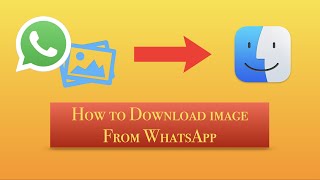 download images from WhatsApp on Mac | Windows | Easy tutorial 🔥 screenshot 5