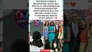 The Obama family's dog, Sunny, has died at 13. Rest in peace. 🕊️🐾#shorts #viral #sunny #trending