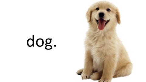 Totally Normal Dog ( 100% Not Rickroll )