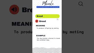 Meaning of Word BREED #shortvideo #english #learning Meaning of Word BREED #shortvideo #english #learning