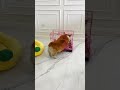 🤣🤣🤣🤣 #foryou #funny #trending #youtubeshorts #shorts #shortvideo #reels