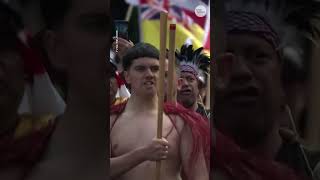 Information Māori supporters protest treaty bill in New Zealand News