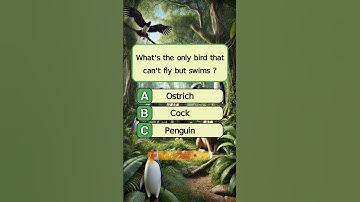 Can you get 5/5 ? #shorts #quiz #quizzes #englishquiz #quiztime #generalknowledge