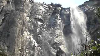 "Bears" by Doug Newman (original)  and Yosemite (c) ascap 9-22-09