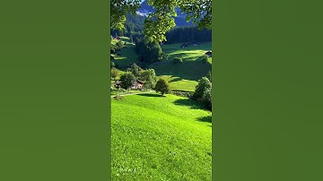 😍 | #coding #shorts #programming #tashkent #dasturlash #python #htmlMuzaffar dev