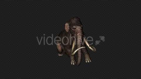 Mammoth Die Pack 4In1 | Motion Graphics - Envato elements