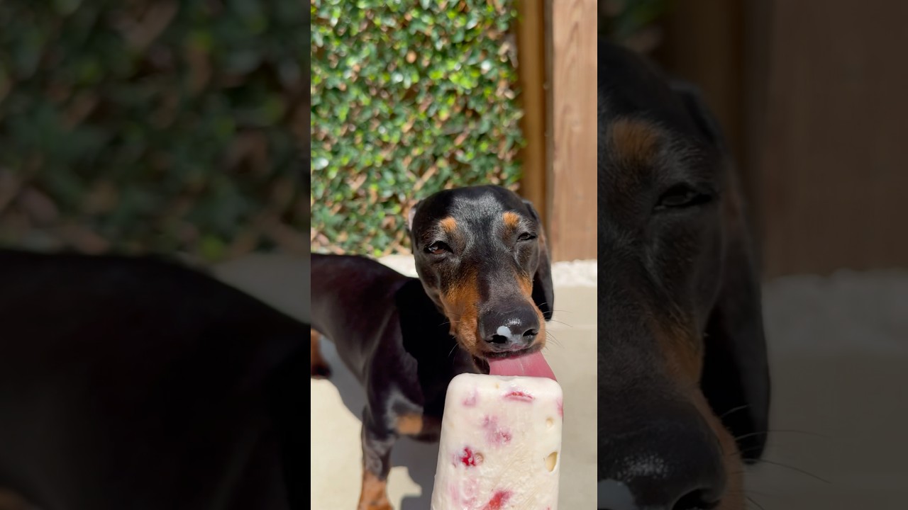 Is this a sweet treat? 👀 