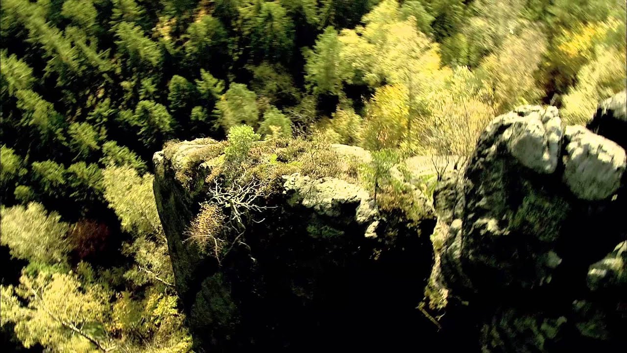 дикая природа германии