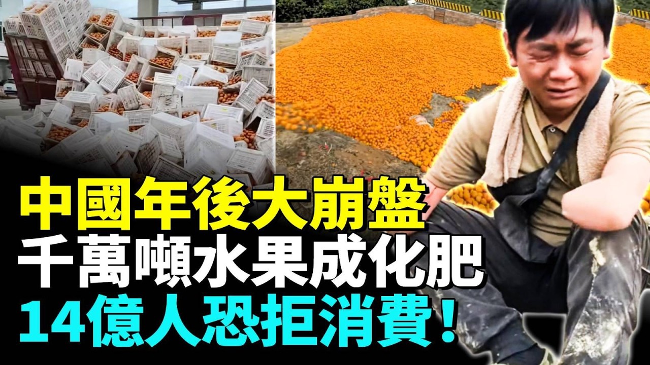 2026地獄年！中國全行業毀滅性崩盤！千萬噸水果爛在果園，創業致富變噩夢，失臂小哥崩潰！14億人恐拒消費！