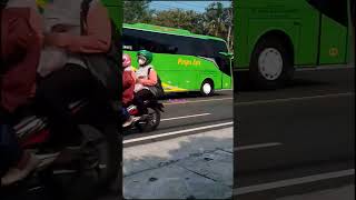 bus Puspa jaya k.30 #shortvideo #shorts #short #truck #busmania