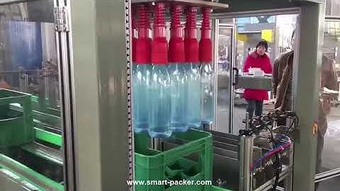 Robot hand bottle neck grab automatic cartoning machine water bottle encasing line