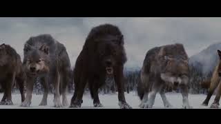 Волки мы в ночных Лесах Руслан Добрый, Tural Everest VIDEO