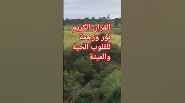 القران الكريم نور ورحمة للقلوب الحية والميت     ألا بذكر الله تطمئن القلوب