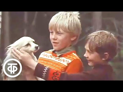 Костомукша - новый город в Карелии. Время. Эфир 26 июня 1979