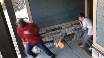 Karen Gets Caught Stealing Package after this.. #2