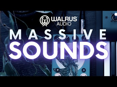 Walrus Audio LORE Sounds Amazing! - YouTube