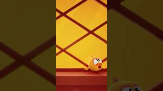 The Moulin Rouge! #chicky | Chicky Cartoon in English for kids