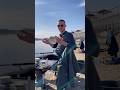 Отдадим удочку подписчику #рыбалка #фидер