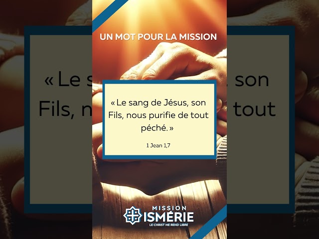Le mot du jour : Purification