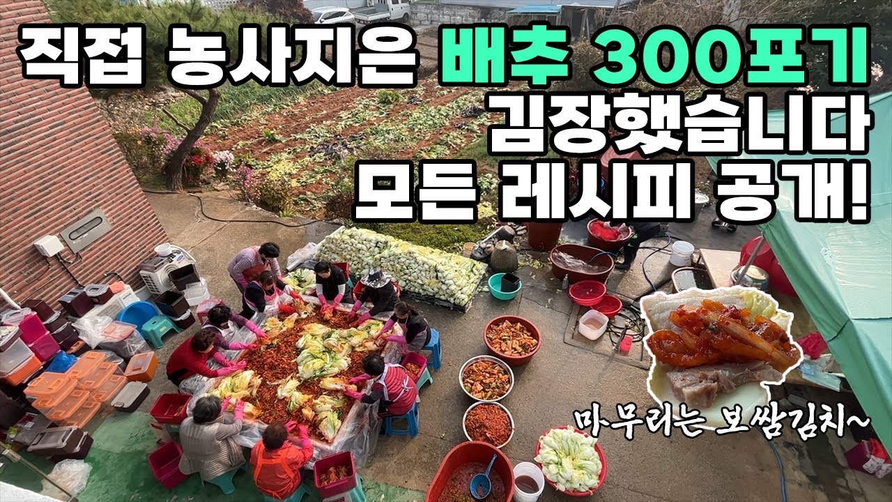 ▶김장 김치◀ 가정집에서 배추 300포기 김장은 어떻게 할까? (김치공장 아닙니다ㅋㅋ)