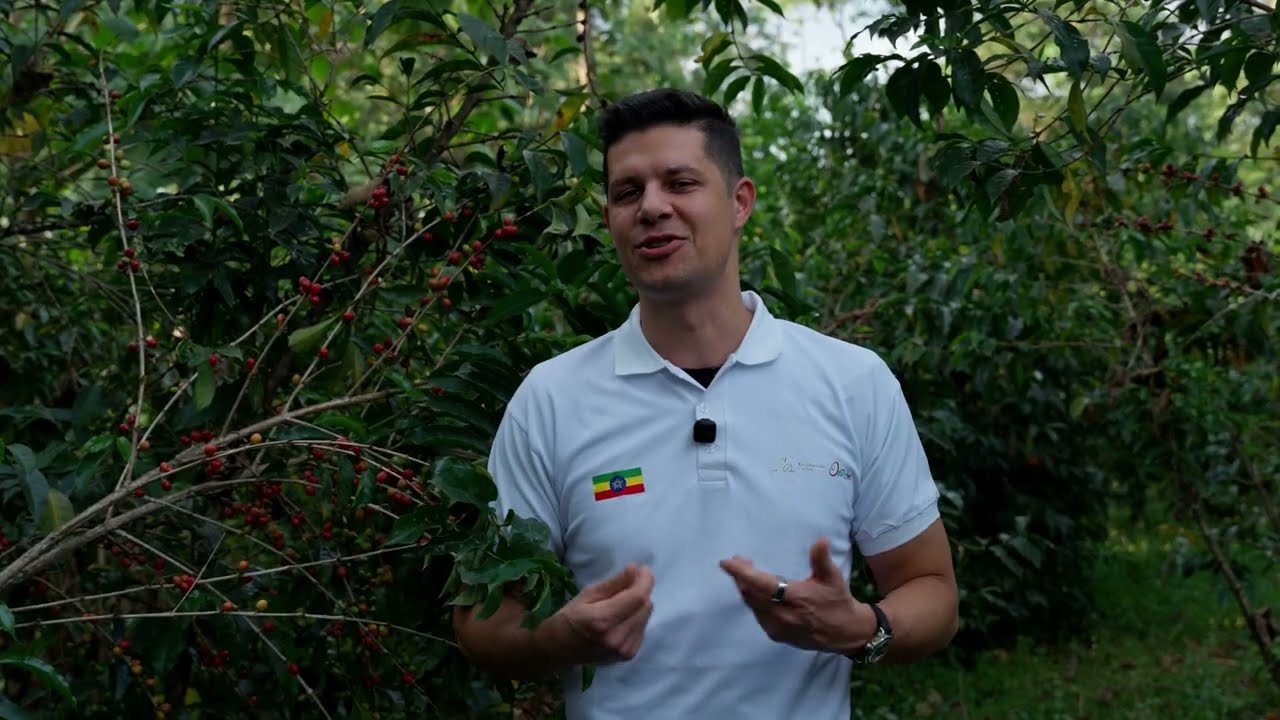 Pour-Over, Partnership & Ethiopian Coffee with Razvan Burlacu (Drop Shot Coffee)
