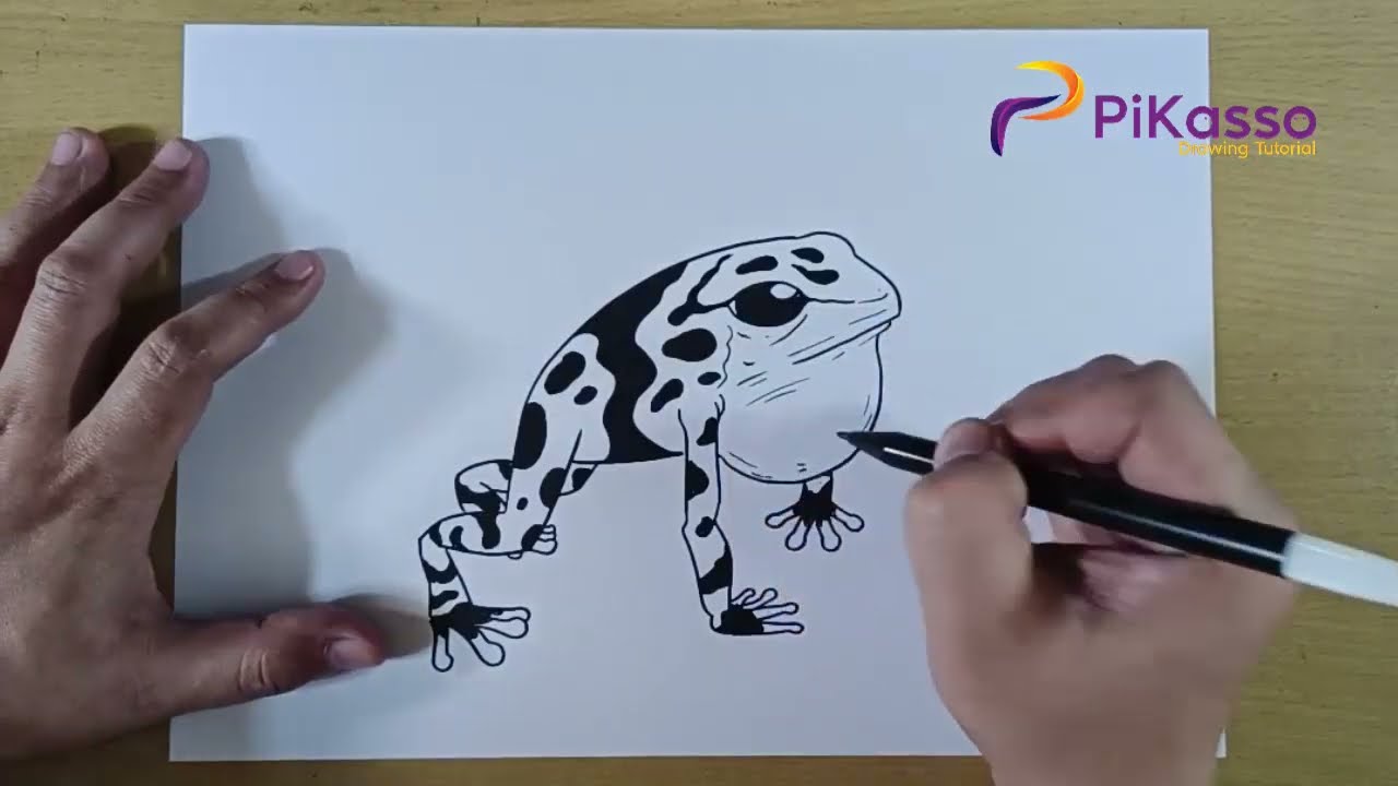 How to Draw a Poison Dart Frog