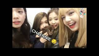 CHAENNIE 👀🤍(Jealous moment PART 2)