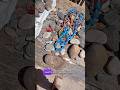 مش هتصدقوا لقيت ايه بيتباع في سوق الجمعه في السيده عائشه محمد رضا عبد الملك