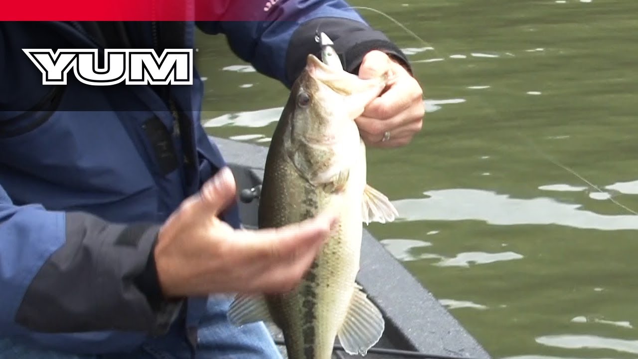 How to Fish and Rig the YUM Money Minnow 