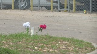 Remembering Brieyonna