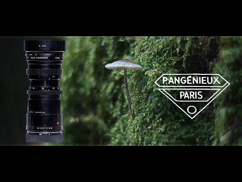 [ESSAI] ANGENIEUX 45-90mm f/2.8