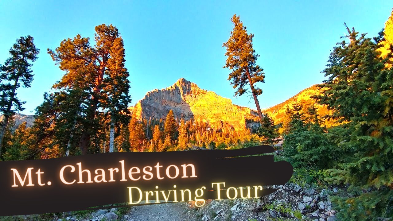 Mt. Charleston Nevada Driving Tour To Lee Canyon What to do Around