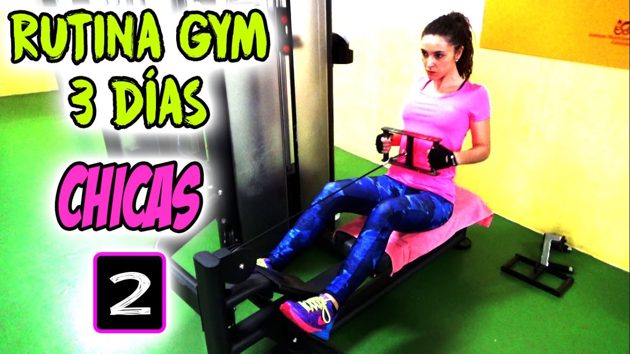 Rutina Gym 3 Dias RUTINA GYM SEMANAL 3 DÍAS PARA MUJERES (Tonificar) | DÍA 2: Torso completo  - YouTube