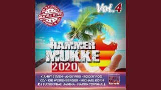 Der Perfekte Moment (Radio Mix)