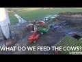 WHAT DO WE FEED OUR COWS IN THE WINTER?