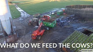 WHAT DO WE FEED OUR COWS IN THE WINTER?