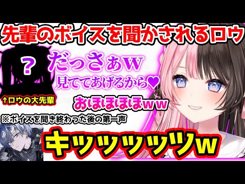 先輩のボイスに対して本音が漏れるロウに爆笑するひなーの【ぶいすぽっ！切り抜き】